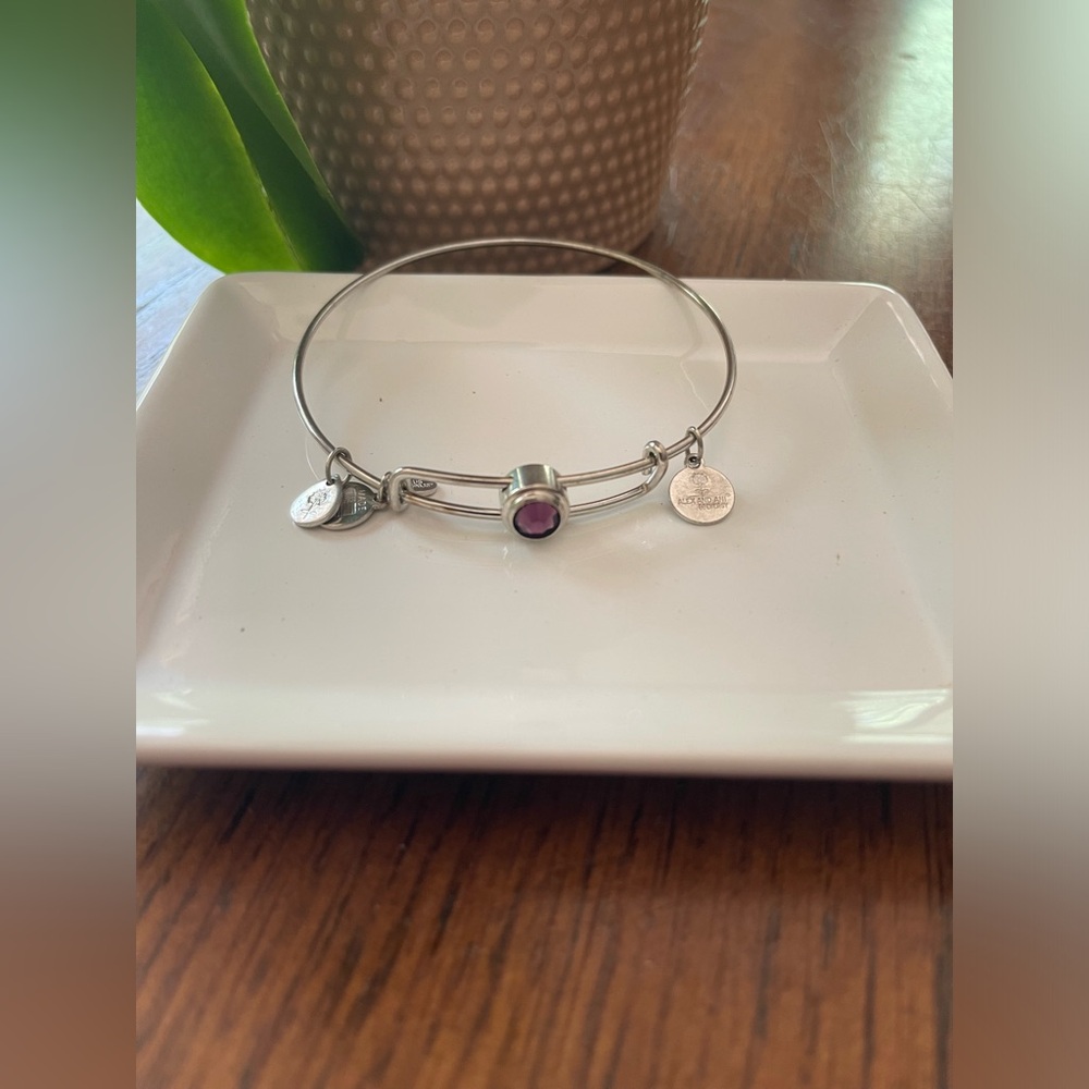 Alex and ani bangles with amethyst stone